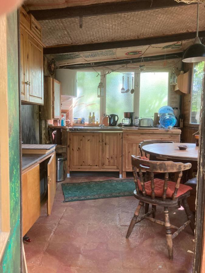 Bungalow Biberspur Zieko المظهر الخارجي الصورة