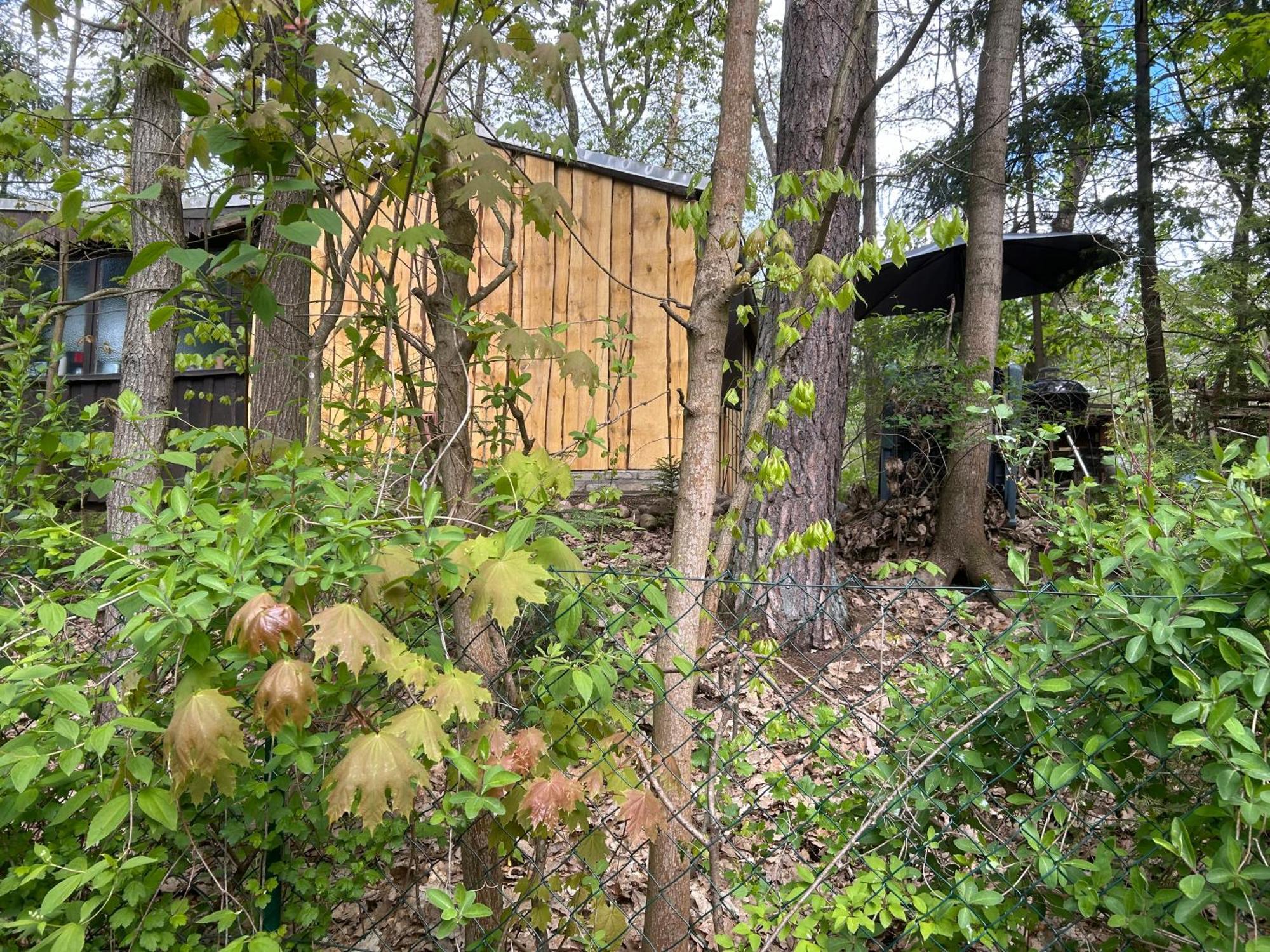 Bungalow Biberspur Zieko المظهر الخارجي الصورة
